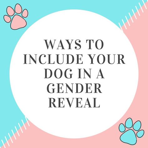 Gender Announcement With Dog, Simple Gender Reveal Announcement, Gender Reveal Pictures With Dog, Gender Reveal Including Dog, Gender Reveal Involving Dogs, Gender Reveal Ideas With Dog Pets, Dog Involved Gender Reveal, Gender Reveal With Dogs Ideas, Simple Gender Reveal Ideas With Dogs