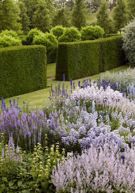 Secret gardens of the Cotswolds - Telegraph Yew Hedge Border, Cotswold Garden Ideas, Monochromatic Garden, Large Garden Design, Hedge Garden Design, Ground Elder, Yew Hedge, Flower Hill, Hedge Garden