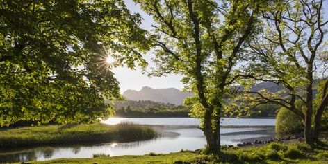 Elter Water and the Langdale Pikes, Elterwater, Lake District National Park, Cumbria, England, UK Dartmoor National Park, Lake District National Park, Brecon Beacons, British Countryside, Go Outdoors, River Thames, Deciduous Trees, Lavender Fields, Free Stock Photos Image