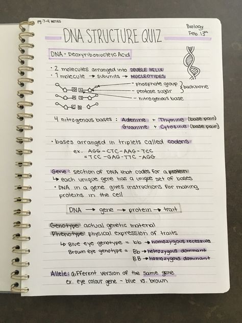 ⓑⓑⓨⓟⓔⓐⓒⓗⓨ✨ Biology Dna Notes, Dna Notes Biology, Ap Bio Notes, Dna Notes, Ap Biology Notes, Bio Notes, Biology Revision, Study Biology, Biology Classroom