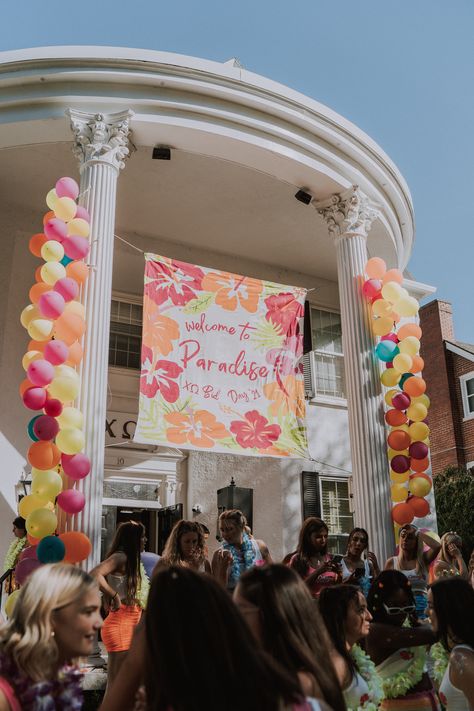 Tropical Sorority Banner, Beach Club Bid Day, Sorority Bid Day Balloons, Philanthropy Week Themes, Tropical Bid Day Theme, Tropical Sorority Theme, Dphie Bid Day, Welcome To Paradise Bid Day Theme, Paradise Sorority Theme