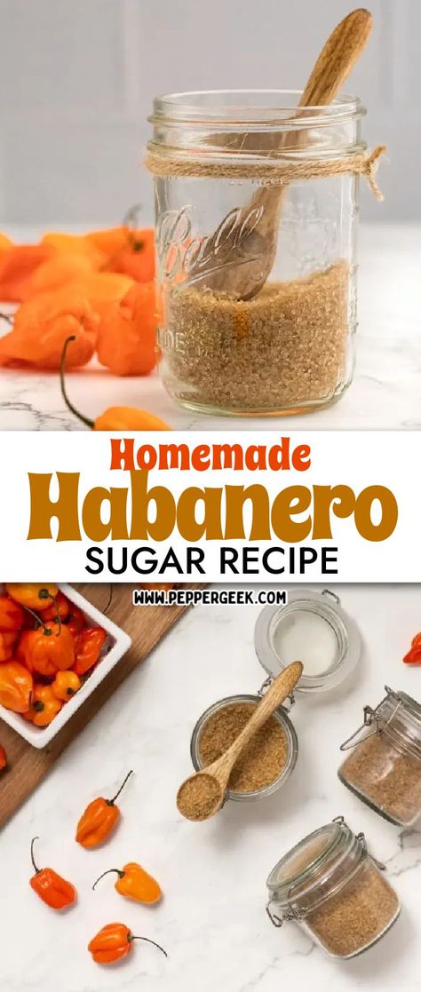 Roasted Pepper Recipes, Habanero Recipes, Infused Sugar, Cup Of Hot Chocolate, Flavored Salts, Flavored Sugar, Habanero Peppers, No Salt Recipes, Homemade Recipe