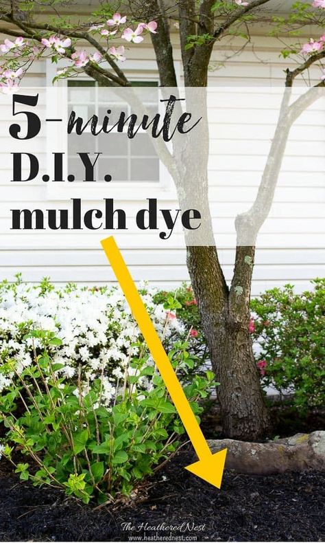 Cheap Mulch Alternatives, Mulch Patio Sitting Area, Mulch Yard Ideas, Mulch Glue Diy, Diy Mulch Glue Recipe, Mulch Patio Ideas, Mulch Dye, Board Backsplash, Mulch Alternatives