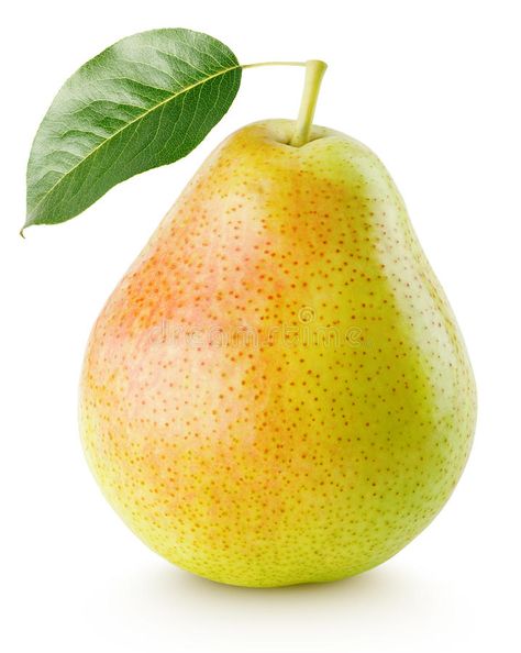 Potted Fruit Trees, Fruit Art Drawings, Pear Dessert, Fruit Picture, Pear Fruit, Food Png, Fruits Images, Yellow Fruit, Watercolor Fruit