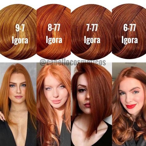 Olaplex, Fanola, BlondMe, Igora, Prokpil on Instagram: "Logra tu COBRIZO soñado😍 �¡Logra ese tono que tanto deseas con los tintes Igora Royal que tenemos para ti! Los mejores cobrizos, rojos y violetas son de IGORA ROYAL ⭐️ 🧡 8-77 Rubio Claro Cobrizo Intenso 🧡 9-7 Rubio muy claro Cobrizo 🧡 7-77 Rubio Medio Cobrizo Intenso 🧡 6-77 Rubio Oscuro Cobrizo 🧡 L-77 Cobrizo Intenso ❤️ L-88 Rojo Intenso ❤️ 6-88 Rubio Oscuro Rojo Intenso ❤️ 5-88 Castaño Claro Rojo Intenso ❤️ 0-88 intensificador Rojo Igora Hair Color, Cheveux Oranges, Color Cobrizo, Hair Color Formulas, Ginger Hair Color, Coloring Images, Types Of Hair, Hair Color Auburn, Strawberry Blonde Hair