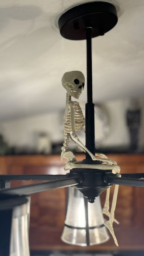 Move over Elf on The Shelf, we are embracing the Halloween spirit this year with Skelly on The Belly which is a fun new tradition to play with your kids throughout the month of October! This spooky little skeleton will keep you on your toes as it moves around your home, providing fun and laughter … The post ‘Skelly on The Belly’ Is The Latest Halloween Tradition appeared first on... Halloween Skeleton Elf On The Shelf, Spooky Elf On The Shelf, Skeleton Elf On The Shelf, Skeleton On The Shelf Ideas, Skeleton On The Shelf, Posable Skeleton, Tiny Spiders, Spider Toy, Fluffy Scrambled Eggs