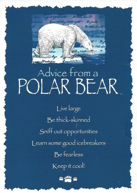 Advice from a Polar Bear – Pics and Posts Polar Bear Spirit Animal Meaning, Polar Bear Quotes, Alaskan Northern Lights, Alaska Book, Polar Bear Images, Bear Spirit Animal, Bear Pics, Spirit Animal Meaning, Animal Meanings