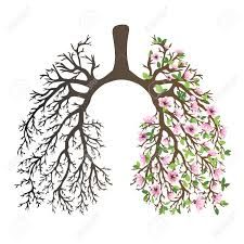 Human lungs. respiratory system. Healthy lungs. Light in the form of a tree. Line art. Drawing by hand. Medicine. | The Breathing Room Lungs Drawing, Lungs Art, Journal Drawings, Doctor Cake, Contrast Art, Human Lungs, Healthy Lungs, Fitness Tracking, Line Art Drawing