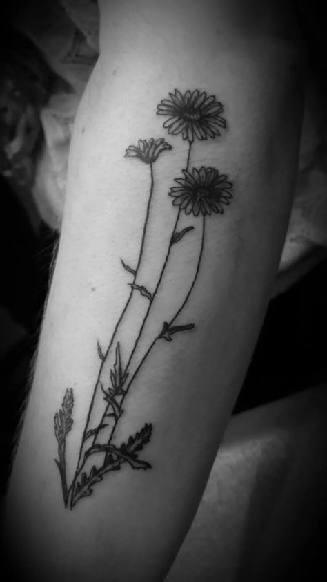 Daisy Tattoo Large, Wild Daisy Tattoo, Tattoo Designs Vintage, Daisy Tattoo Ideas, Daisy Tattoos, Daisy Tattoo Designs, Wild Tattoo, Daisy Tattoo, Daisy Art