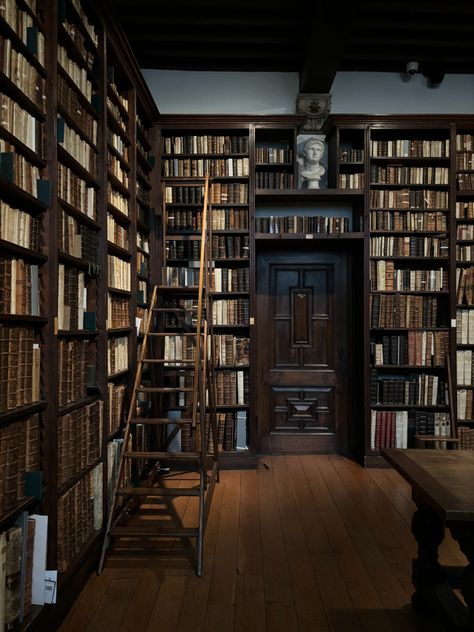 Aesthetic Bookshelves Dark Academia, Old Fashioned Bookshelves, Book Shelf Dark Academia, Old Library Aesthetic Dark Academia, Cottage Library Aesthetic, Dark Academia Bookshelves, Old Bookshelf Aesthetic, Old Academia Aesthetic, Shelf Dark Academia