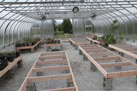 Diy Greenhouse Tables, Greenhouse Table Ideas, Greenhouse Tables Diy, Commercial Greenhouse Ideas, Greenhouse Set Up Inside, Farm Layout 10 Acres, Greenhouse Tables, Hydroponic Herb Garden, Greenhouse Benches