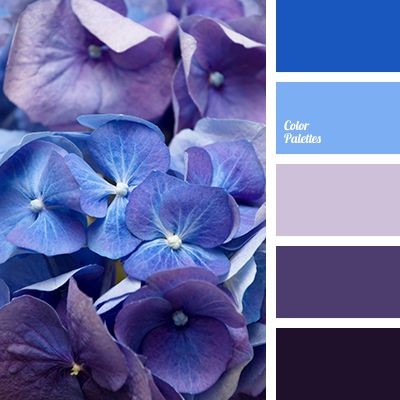 almost black, blue-color, color of violets, dark purple, designer palette, house color schemes, hydrangea color, purple, purple orchids color, selection of color, shades of purple. Palette House, House Palette, In Color Balance, Designer House, Purple Color Schemes, Color Palette Ideas, Wall Living Room, Hydrangea Colors, Orchid Color