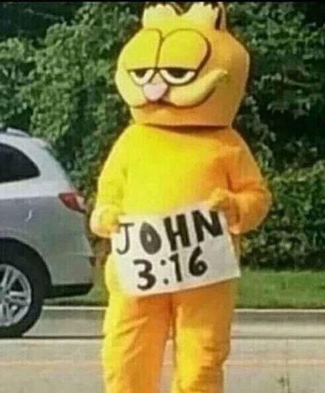 Cursed Garfield, Garfield Pictures, Garfield Images, Girls When, I Hate Mondays, Garfield Cat, John 3:16, Ex Machina, Fat Cats