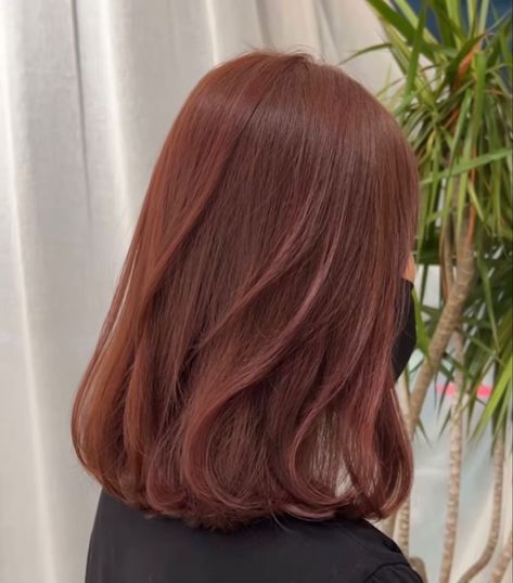 Maroon And Ginger Hair, Jisoo Ginger Hair, Light Brownish Red Hair Color, Maroon Auburn Hair, Wine Copper Hair, Red Brownish Hair Color, Coffee Bean Hair Color, Ginger Brownish Hair, Asian Reddish Brown Hair