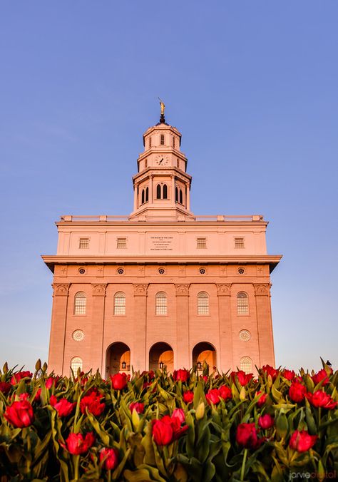 Nauvoo Temple - Roses - Nauvoo Illinois LDS Temple - JarvieDigital Photography Nauvoo Illinois, Nauvoo Temple, Lds Temple Pictures, Amy Jones, Mormon Art, Missionary Gifts, Temple Pictures, Images Of Christ, Bible Stories For Kids