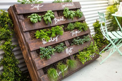 Garden Pallet Decorations, Pallet Herb Garden, Plantarea Legumelor, Herb Garden Pallet, Funny Vine, Outdoor Herb Garden, Diy Herb Garden, Herb Garden Design, Vertical Herb Garden