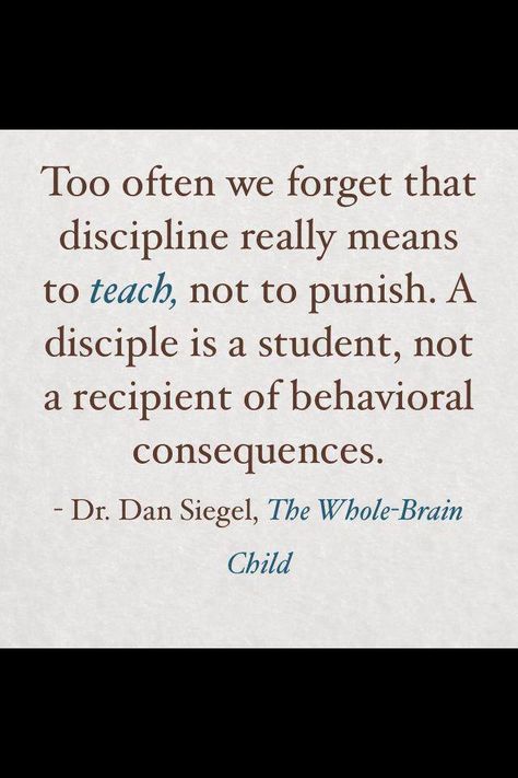 To teach, not to punish... Daily Routine Kids, Dan Siegel, Whole Brain Child, Soul Searching, Toddler Books, Parenting Quotes, Finding Peace, Parenting Hacks, Wise Words