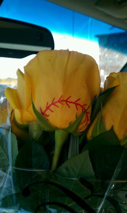 Softball roses! Yellow roses and a red sharpie.... If someone did these for me I would love them forever Softball Roses, Softball Party, Softball Crafts, Senior Softball, Baseball Tournament, Baseball Wedding, Roses Yellow, Senior Night Gifts, Softball Quotes