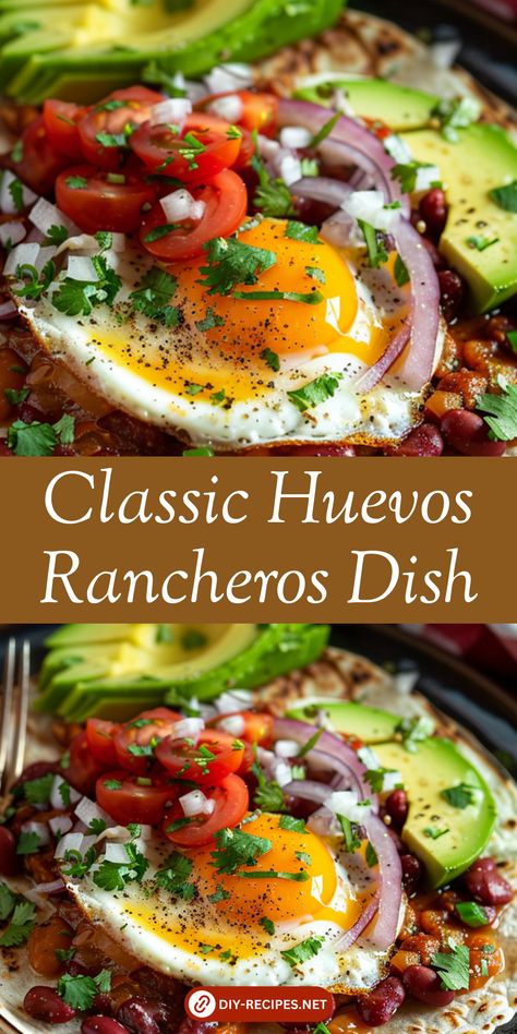 Make this classic Mexican dish at home! Huevos Rancheros with corn tortillas, fried eggs, and ranchero sauce. Garnished with avocado and cilantro for a fresh touch. Best Huevos Rancheros Recipe, Latin American Breakfast, Egg Rancheros Mexican Breakfast, Mexican Egg Dishes, Eggs And Corn Tortillas, Egg Dinners Recipes Night, Eggs Rancheros Recipe, Huevos Rancheros Recipe Mexican, Mexican Brunch Recipes