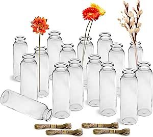 Paisener Bud Vases Set of 16,Small Glass Vase for Flowers,Bud Vases in Bulk,Clear Glass Vases for Centerpieces,Mini Vase Set for Flowers Wedding Decorations (Clear 16) Small Glass Vase, Vases For Centerpieces, Glass Vases Centerpieces, Mini Vases, Single Flowers, Small Flower Arrangements, Small Vases, Small Glass Vases, Vase For Flowers