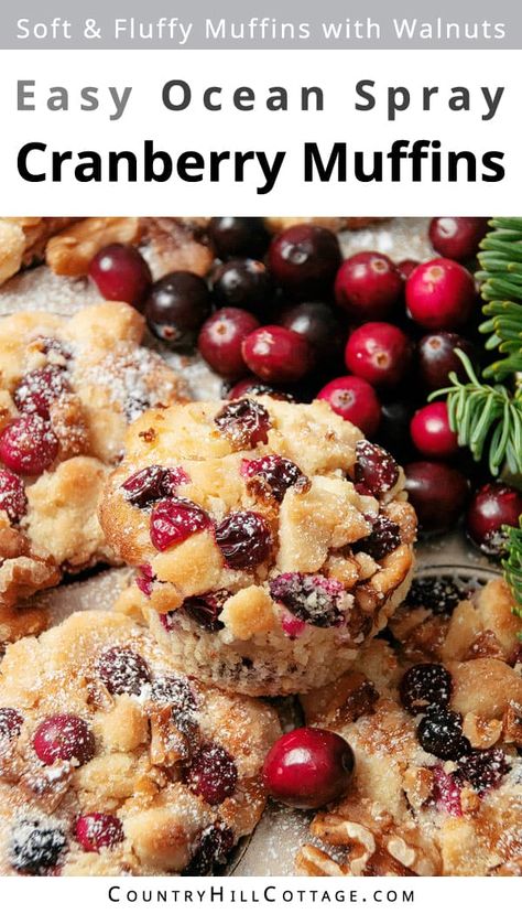 Orange Cranberry Walnut Muffins, Craisin Muffins Recipes, Cranberry Walnut Muffins Recipes, Craisin Muffins Dried Cranberries, Cranberry Orange Streusel Muffins, Best Cranberry Orange Muffins, Dried Cranberry Muffins Recipes, Fresh Cranberry Muffins Recipes, Cranberry Muffins With Fresh Cranberries