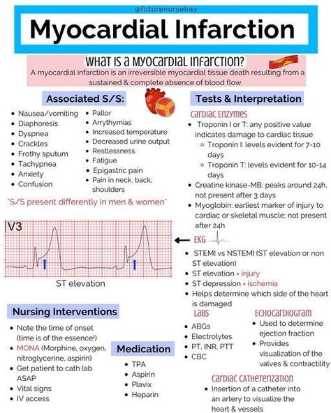 Cath Lab Nursing, Emt Study, Medical Terminology Study, Paramedic School, Sistem Pencernaan, Nursing School Essential, Medical School Life, Nursing School Motivation, Nurse Study Notes