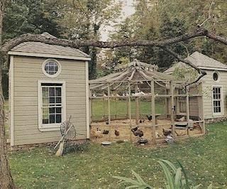 Dove Aviary, Chicken Roosts, Chicken Enclosure, Chicken Supplies, House Bunny, Chicken Pen, Goat Barn, Future Farms, Bird Aviary