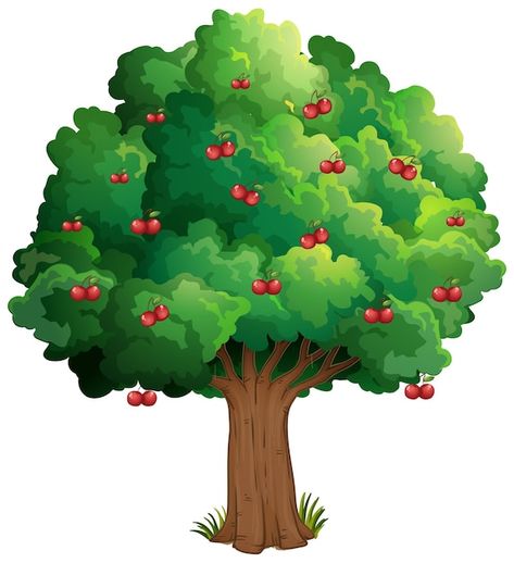 Free vector cherry tree isolated on whit... | Free Vector #Freepik #freevector #food-tree #fruit-tree #cartoon-tree #tree-clipart Sour Cherry Tree, Free Cartoon Characters, Painting Teacher, Fruit Clipart, Cartoon Trees, Tree Clipart, Cool Skateboards, Cityscape Photos, Logo Banners