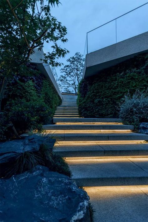 With the good weather coming up this weekend, I thought I'd give you some external lighting inspiration. No need to just use glary floodlights or bollards around the perimeter when there are so many beautiful ways to light your garden for this summer! 

#exteriorlighting #summer #outdoors Outdoor Steps Lighting, Tv Camino, Hardscape Lighting, Lighting Your Garden, Stairs Lighting, Step Lighting Outdoor, Architectural Lighting Design, Led Landscape Lighting, Outdoor Stair Lighting