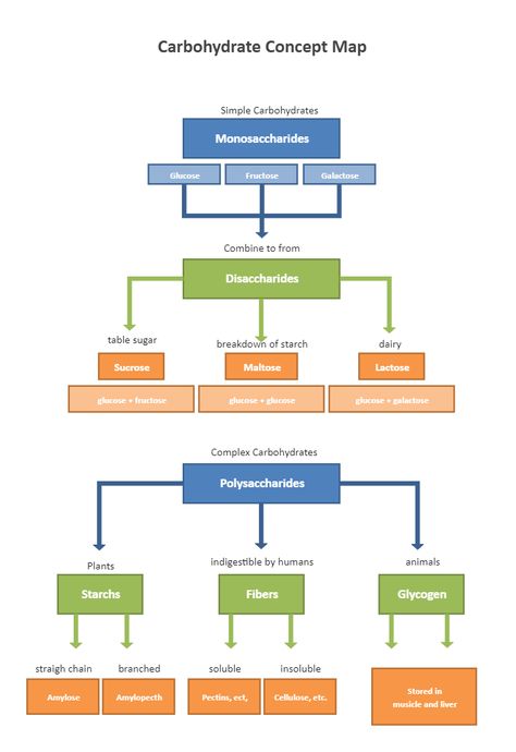 Carbohydrate Concept Map | EdrawMax Free Editbale Printable Carbohydrates Drawing, Carbohydrates Biochemistry, Carbohydrates Notes, Concept Map Aesthetic, Science Witch, Carbohydrates Biology, Chem Notes, Study Tricks, Protein Chart