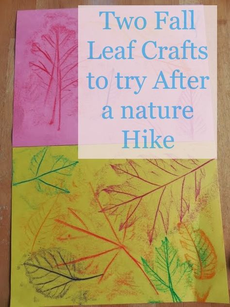 Hiking and Leaf Crafts Crafts To Try, Woolly Bear, Homeschool Nature Study, Autumn Leaves Craft, Nature Hike, Fall Lessons, Great Works Of Art, Autumn Activities For Kids, Fashion Crafts