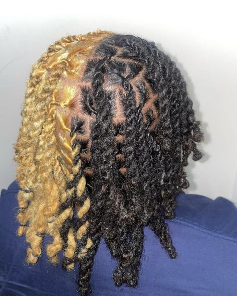 Blond And Black Dreads, Half And Half Hair Color Locs, Locs Blonde And Black, Black And Blond Locs, Half And Half Locs, Blonde And Black Dreads, Split Dyed Locs, Blonde Locs Men, Black And Blonde Locs