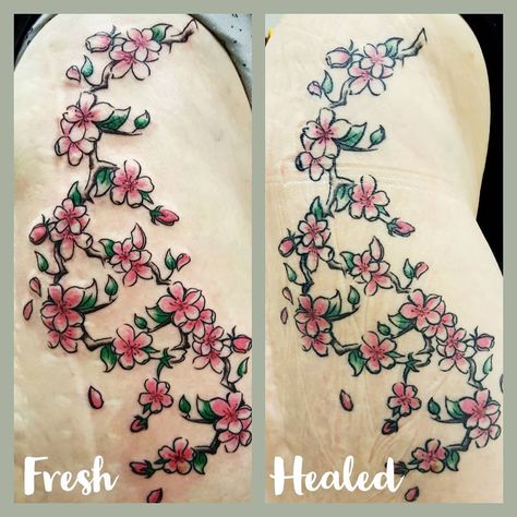 Fresh Vs healed by @tooies_tatts ... Floral Tie, Tattoos, Floral, Quick Saves