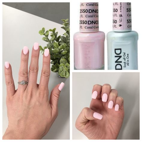 DND gel polish in Coral Castle (550) 550 Dnd Nail Color, Dnd Shellac Colors Summer, Dnd 551 Blushing Pink, Dnc Pink Colors, Geranium Pink Dnd, Dnd Gel Nail Polish Colors, Soft Pink Dnd Gel, Dnd Gel Pedicure, Dnd Gel Spring Colors