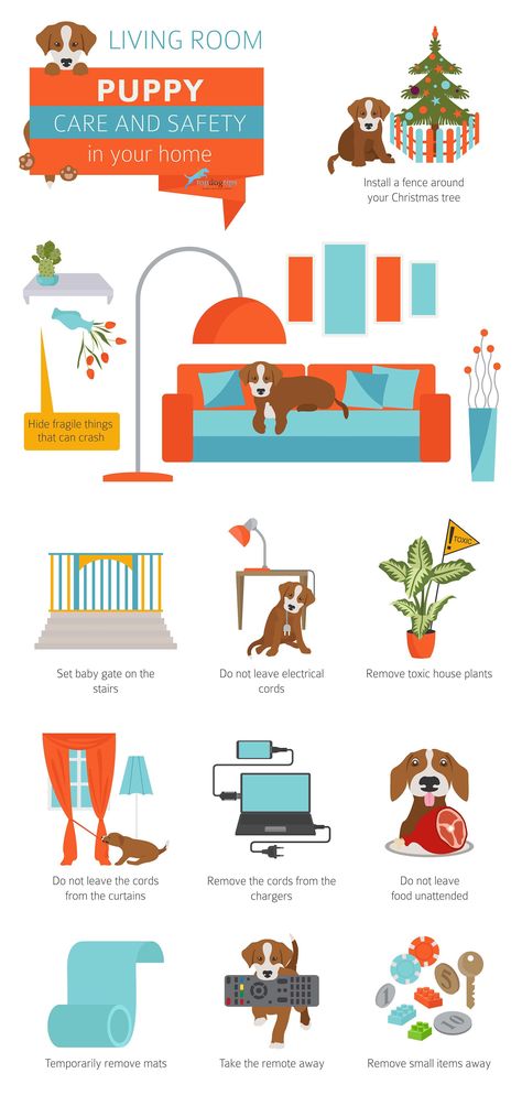 8 Ways to Puppy-Proof Your Home for Christmas Graphic Puppy Proofing House, Puppy Hacks, Puppy Planning, Puppy Space, Hattie Mae, Puppy Training Guide, Puppy Essentials, Baby And Dog, Puppy Tips