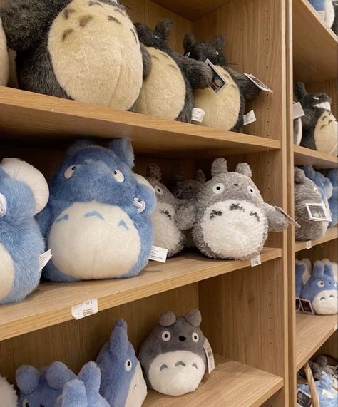 Ghibli Plushies, Totoro Plushies, Totoro Room, Ghibli Room, Ghibli Collection, Breaking The 4th Wall, Ghibli Studios, Tokyo Photos, Studio Ghibli Art