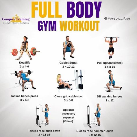 Full Body Gym workout! It is balanced, challenging, and will strategically develop strength and muscle in all the right places. Control the weight on the way up and the way down. Don't let momentum take over. Start light until you have mastered the correct Compound Workouts, Total Body Workout Plan, Body Gym Workout, Gym Girlies, Gym Plans, Full Body Workout Plan, Summer Workouts, Complete Workout, Gym Antrenmanları