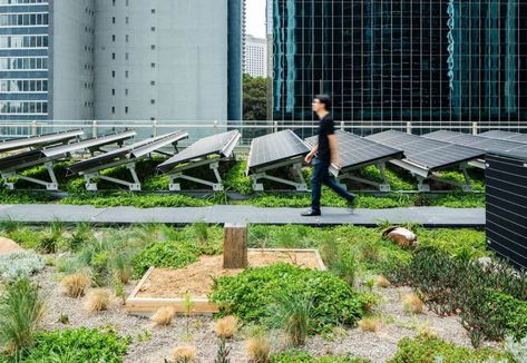 Solar Panel Landscape Design, Green Roof Solar Panels, Biosolar Green Roof, Pv Panels Architecture, Solar Panel Roof Design Architecture, Solar Panel Garden, Solar Panel Roof Design Green Building, Green Roof With Solar Panels, Solar Panel Roof Design House