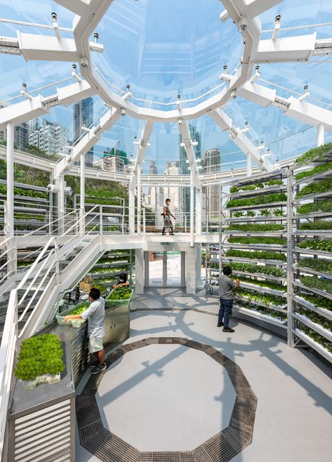 Sustainable Market Design, Urban Farming Architecture, Eco Farming, Community Farm, Types Of Farming, Smart Farm, Indoor Farming, Plant Types, Modern Agriculture