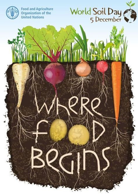 Soil Conservation Poster, Soil Conservation Poster Ideas, Conservation Poster Ideas, Conservation Poster, World Soil Day, Soil And Water Conservation, Soil Conservation, Project Cover Page, Organic Store