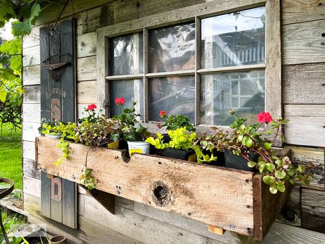 Diy Window Box Planter, Pallet Flower Box, Diy Window Box, Window Box Planters, Wood Window Boxes, Window Box Ideas, Hanging Planter Boxes, Winter Window Boxes, Box Planters