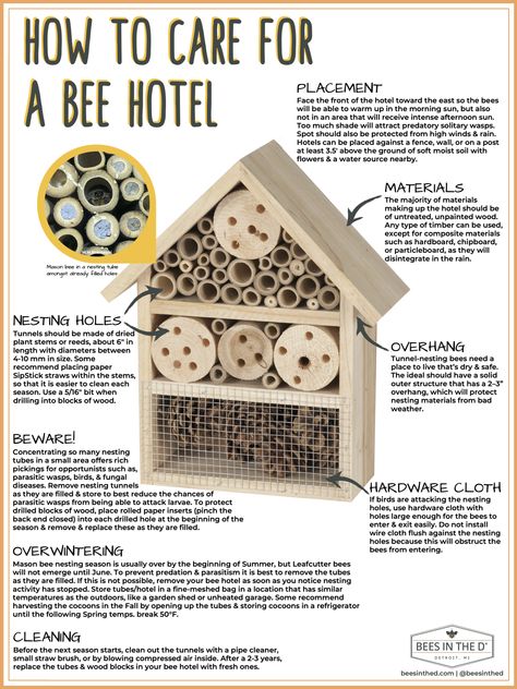 Solitary Bee Hotel, Mason Bees Keeping, Native Bee House, Bumble Bee House Diy, Bee Friendly Garden Design, Diy Pollinator Hotel, Bee Hotel Diy How To Make, Pollinator House Diy, Carpenter Bee House