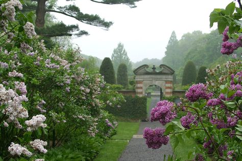 Old Westbury Gardens, Rustic Arbor, Westbury Gardens, American Mansions, Boxwood Garden, Old Westbury, Irish Countryside, Specimen Trees, Formal Gardens