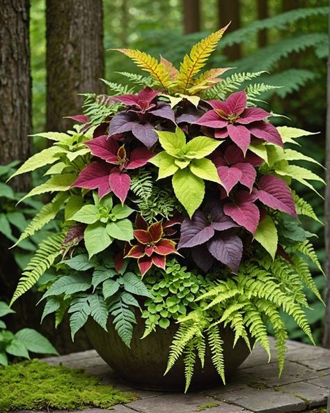 20 Stunning Coleus Container Ideas For a Vibrant Garden - Toolz Geek Indoor Plant Combinations, Coleus Planter Ideas, Coleus Pots, Coleus Landscaping, Container Planting Ideas, Coleus Containers, Garden Container Ideas, Shade Plants Container, Coleus Plant