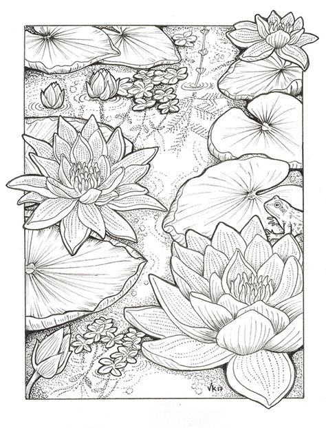 Habitats - Black & White on Behance Doodle Flower Drawings, Disney Traceable Drawings, Nature Mandalas Coloring Book Melpomeni, Floral Sketch Drawing, Lotus Sketch, Lotus Drawing, Floral Pattern Art, Black White Painting, Sketch Pattern