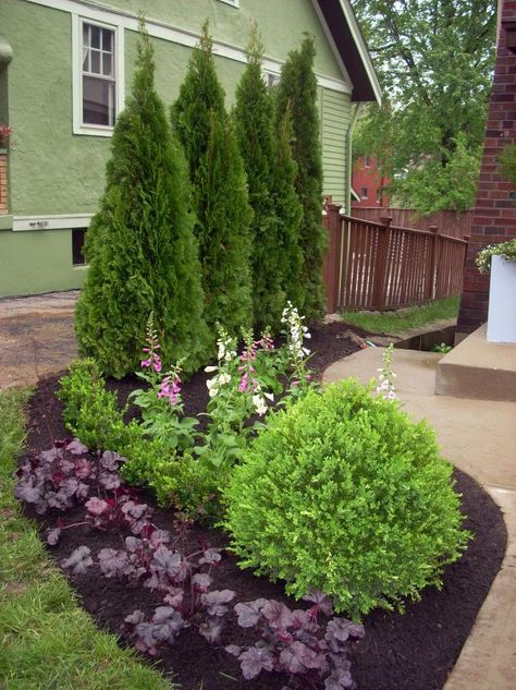 Plants for Privacy | HGTV Landscaping Along Fence, Backyard Trees, Privacy Landscaping, Backyard Privacy, Pool Noodle, Front Landscaping, Landscape Designs, Have Inspiration, Patio Landscaping