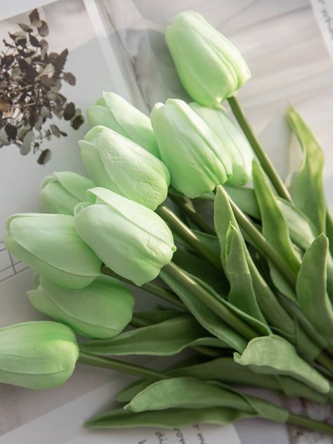 Mint Green  Collar  PU   Embellished   Home Decor Green Tulips, Mint Green Flowers, Line Art Flowers, Mint Flowers, Hijau Mint, Green Pictures, Vintage Flowers Wallpaper, Boquette Flowers, Tulip Bouquet