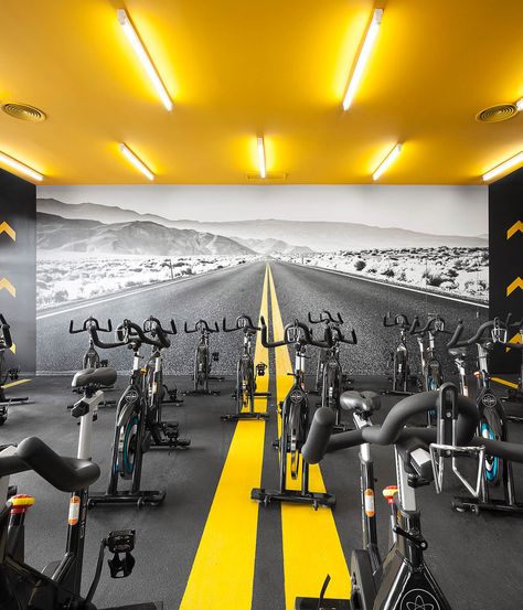 Fitness Center Design, Cycling Studio, Gym Center, Gym Design Interior, Spin Studio, Gym Interior, Gym Art, Corporate Image, Gym Room