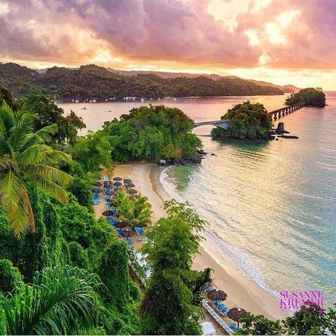 Hotel Cayacoa, Samaná, R.D. Dominicans Be Like, Edna Mode, Caribbean Beach, Beach Sunrise, Caribbean Beaches, Never Look Back, Sunrise Beach, Tropical Art, Oh The Places Youll Go