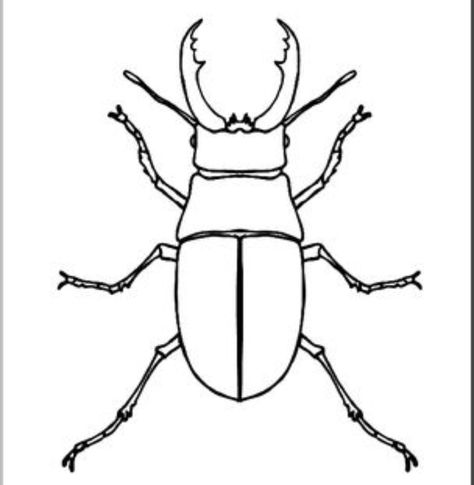 Beetle Drawing, Stag Beetle, Bugs And Insects, Art Plastique, Mosaic Art, Bugs, Tatting, Activities For Kids, Okay Gesture